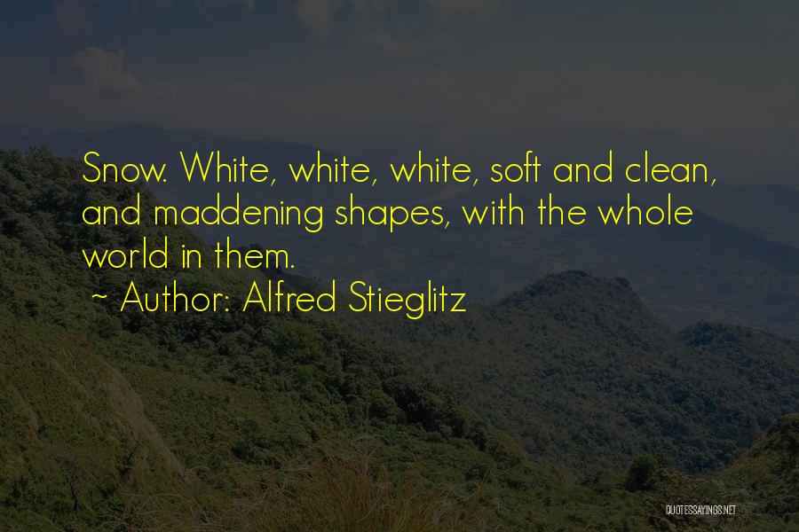 Shapes Quotes By Alfred Stieglitz