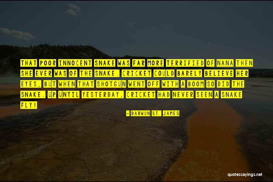 Shapeshifters Quotes By Darwun St. James Shapeshifters Quotes By Darwun St. James