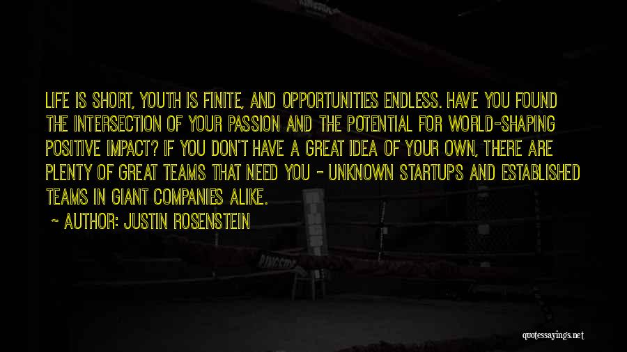 Shaping Your Life Quotes By Justin Rosenstein