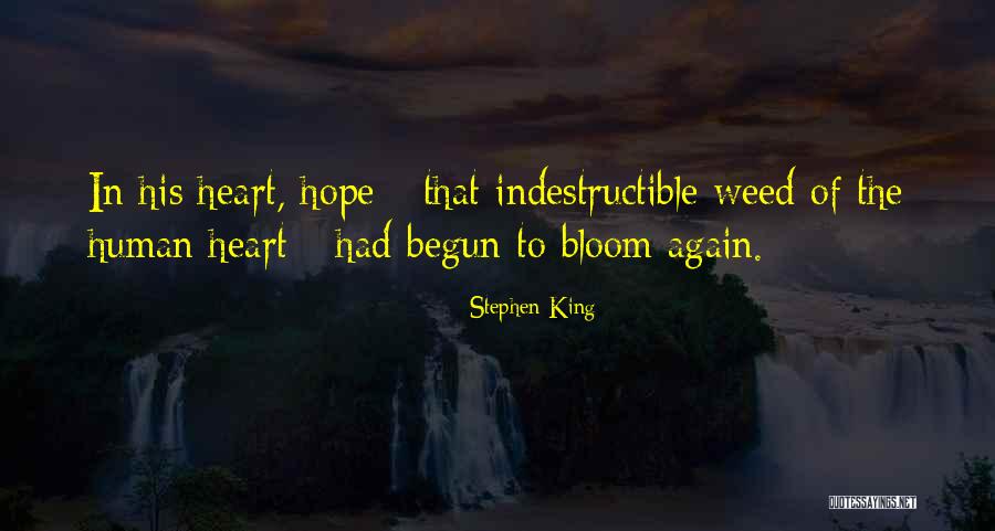 Shapland Sunday Quotes By Stephen King Shapland Sunday Quotes By Stephen King