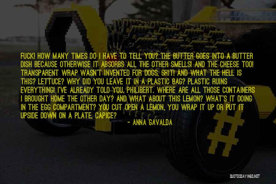 Shapour Azarbarzin Quotes By Anna Gavalda Shapour Azarbarzin Quotes By Anna Gavalda
