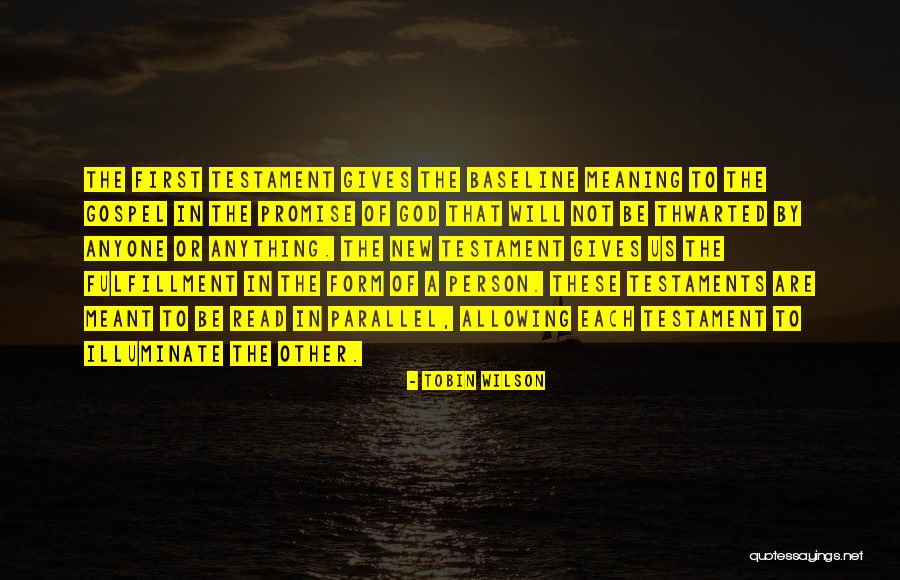 Shapour Rafii Quotes By Tobin Wilson Shapour Rafii Quotes By Tobin Wilson