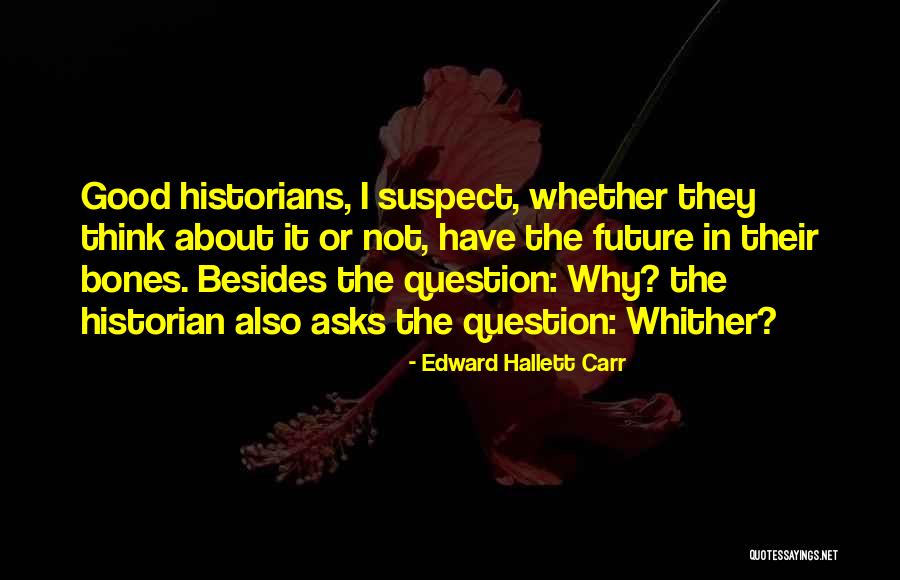 Shapur Naimi Quotes By Edward Hallett Carr Shapur Naimi Quotes By Edward Hallett Carr