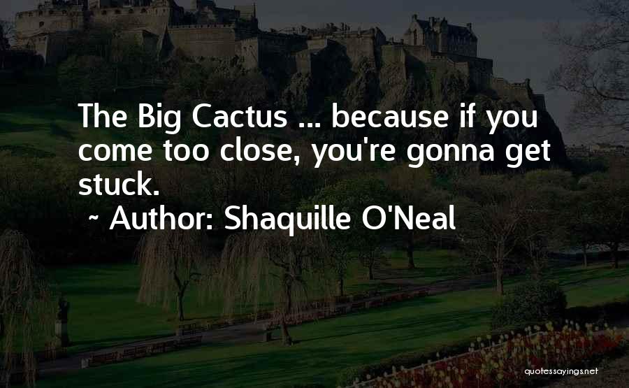 Shaquille Quotes By Shaquille O'Neal