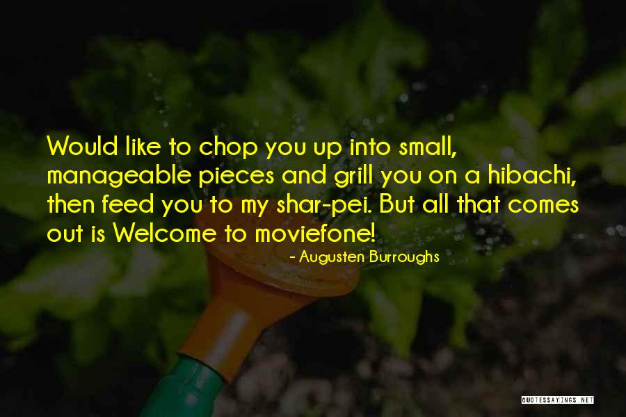Shar Pei Quotes By Augusten Burroughs