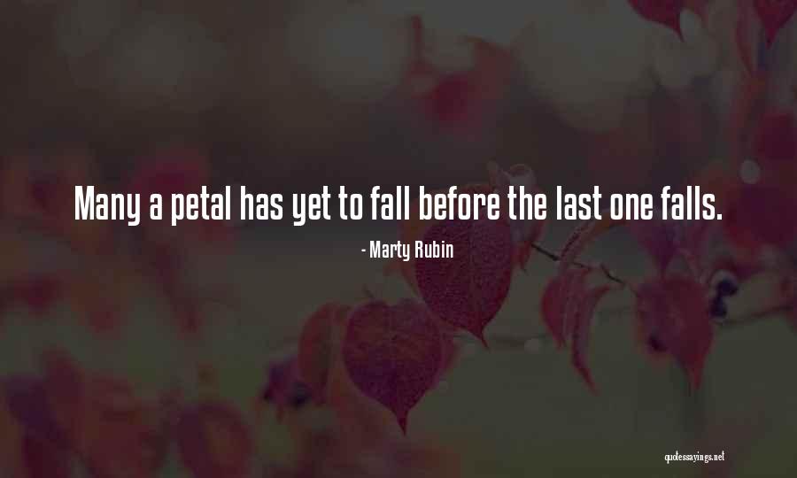 Sharam Diniz Quotes By Marty Rubin Sharam Diniz Quotes By Marty Rubin