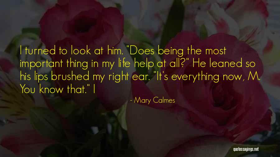 Sharareh Daghighi Quotes By Mary Calmes Sharareh Daghighi Quotes By Mary Calmes