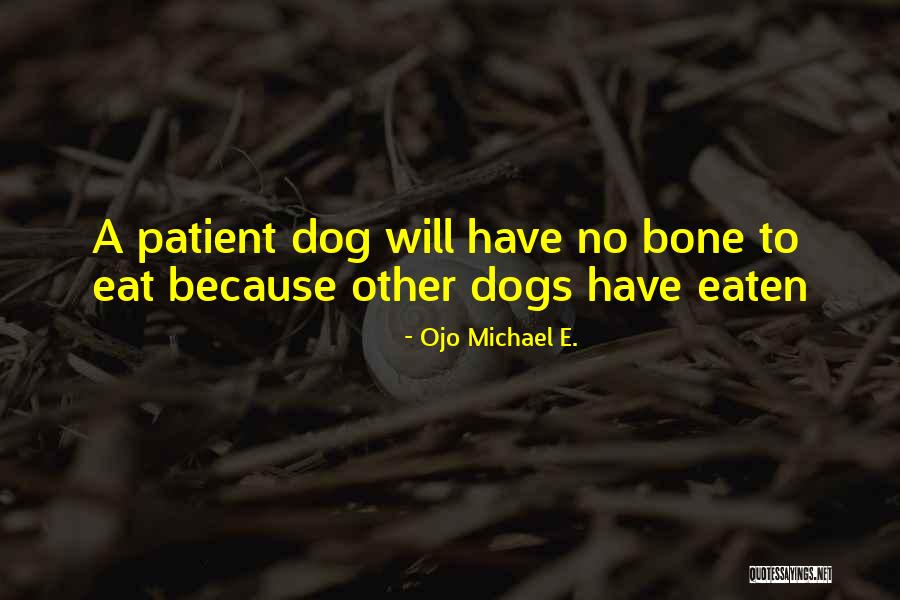 Sharatam Quotes By Ojo Michael E. Sharatam Quotes By Ojo Michael E.