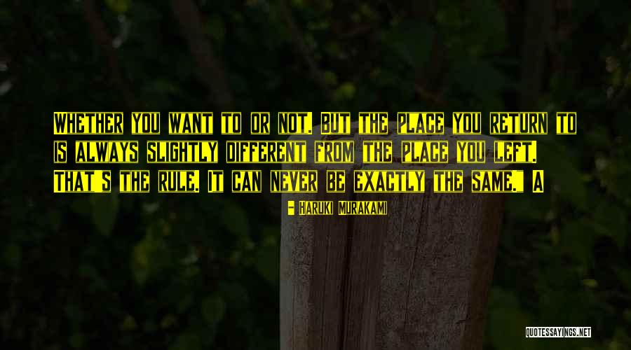 Share And Subscribe Quotes By Haruki Murakami Share And Subscribe Quotes By Haruki Murakami