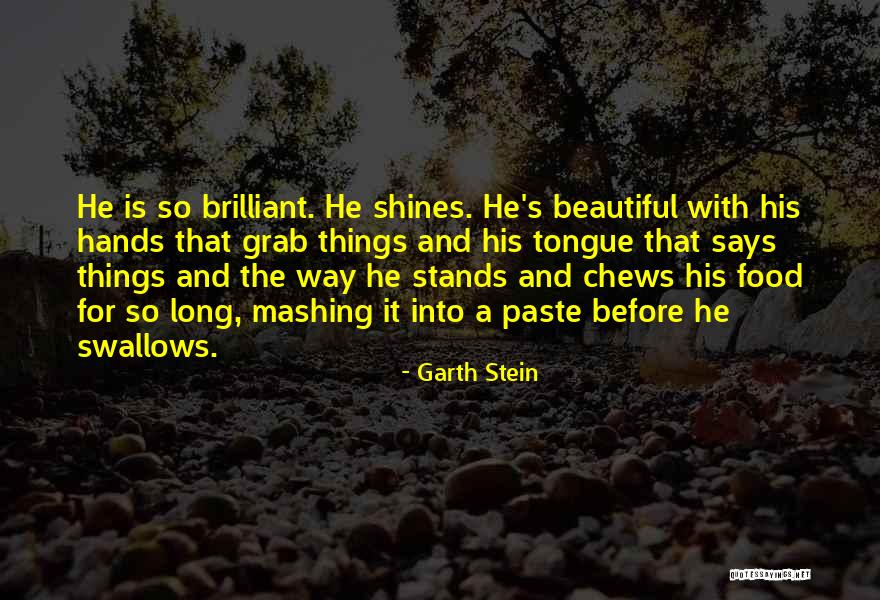 Share Bazar Quotes By Garth Stein Share Bazar Quotes By Garth Stein