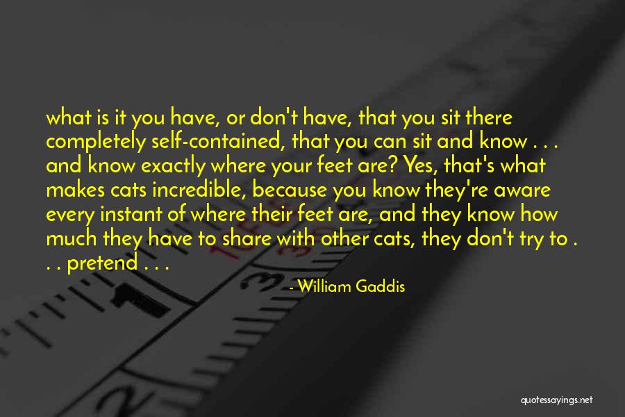 Share It Quotes By William Gaddis Share It Quotes By William Gaddis