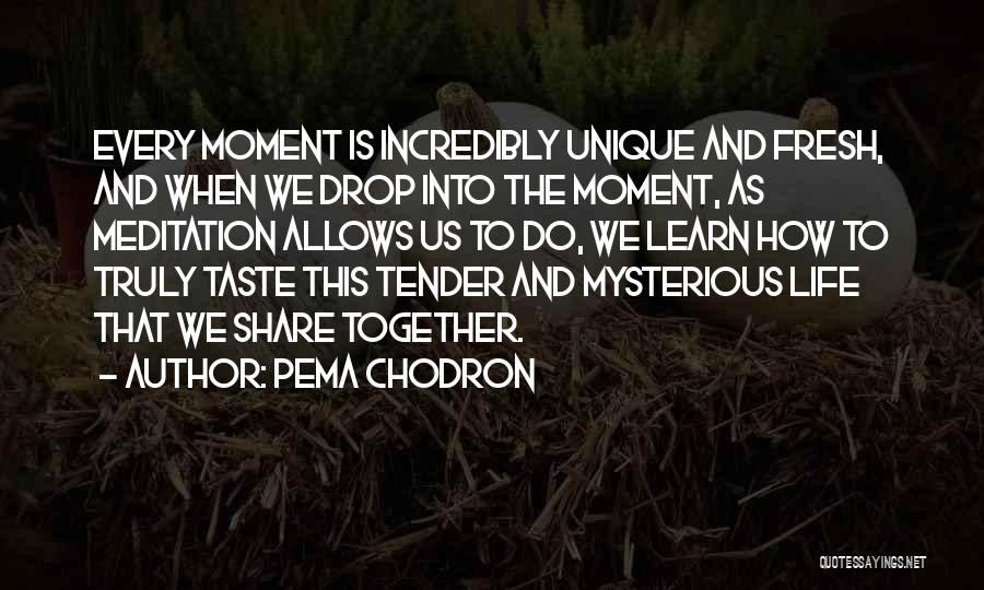 Share Life Together Quotes By Pema Chodron