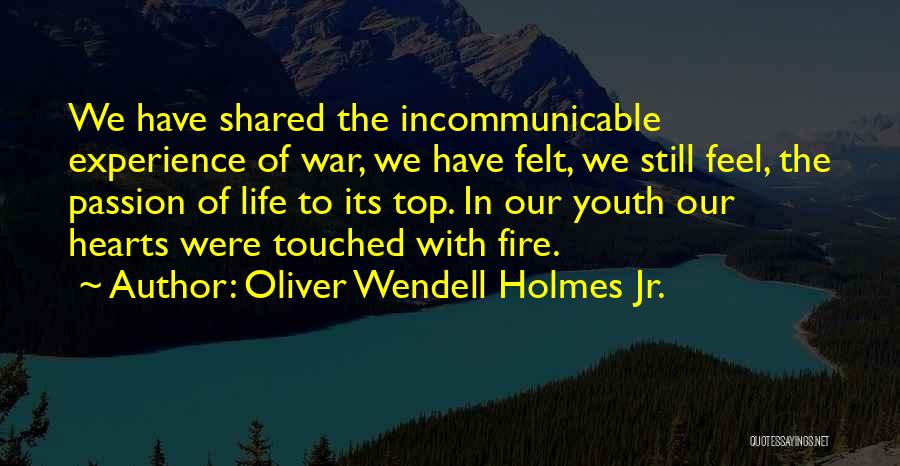 Shared Experience Quotes By Oliver Wendell Holmes Jr.