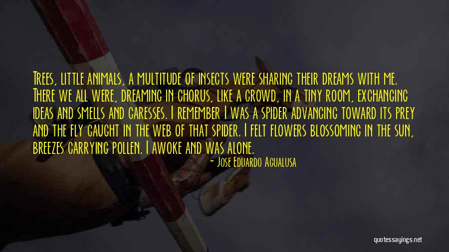 Sharing Of Ideas Quotes By Jose Eduardo Agualusa Sharing Of Ideas Quotes By Jose Eduardo Agualusa