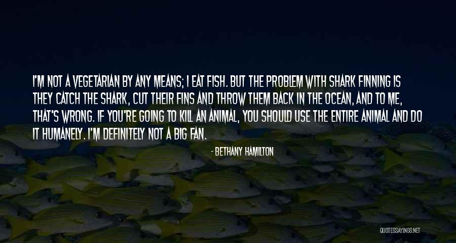 Shark Quotes By Bethany Hamilton Shark Quotes By Bethany Hamilton