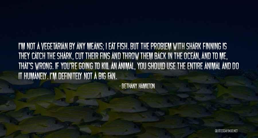 Shark Quotes By Bethany Hamilton