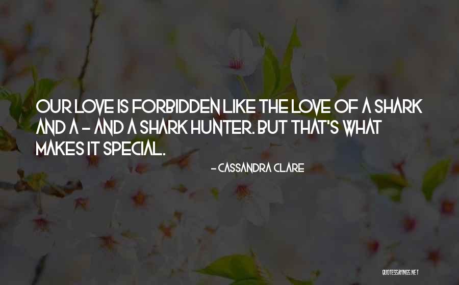 Shark Quotes By Cassandra Clare Shark Quotes By Cassandra Clare