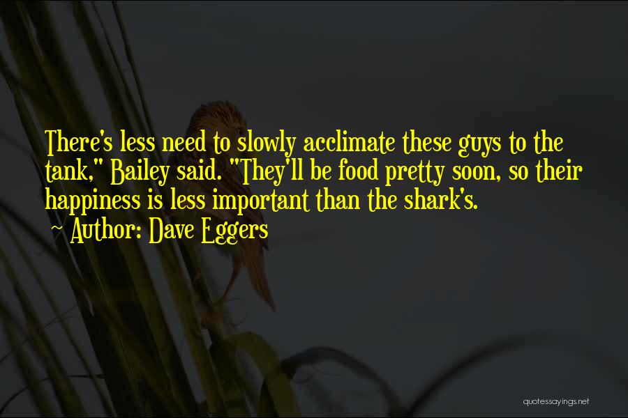 Shark Quotes By Dave Eggers