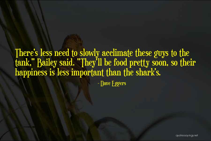 Shark Quotes By Dave Eggers