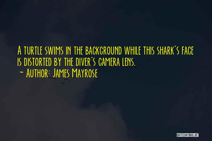 Shark Quotes By James Mayrose