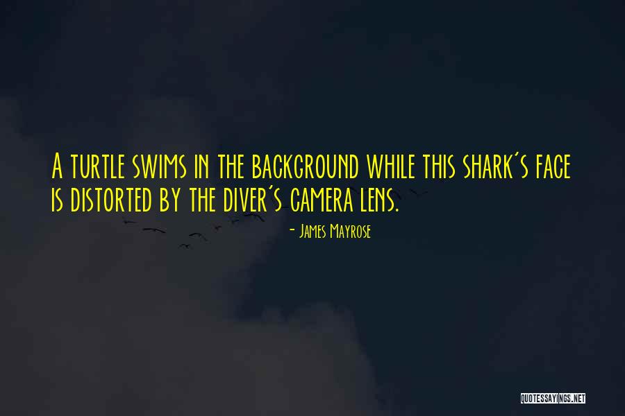 Shark Quotes By James Mayrose