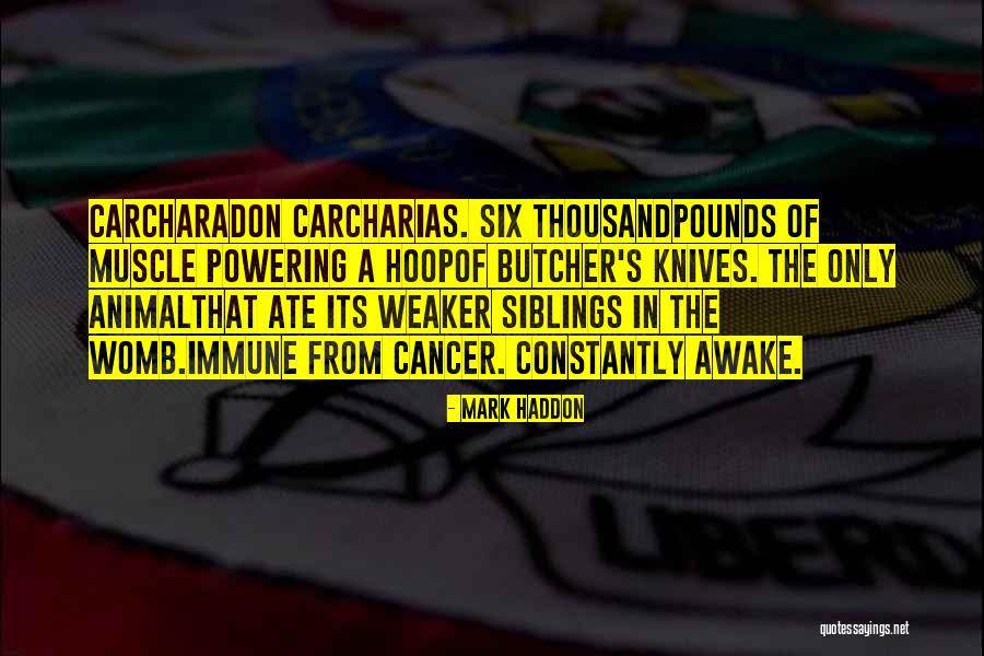 Shark Quotes By Mark Haddon