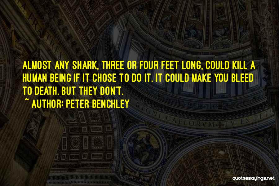 Shark Quotes By Peter Benchley