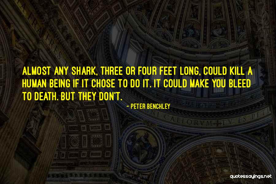 Shark Quotes By Peter Benchley