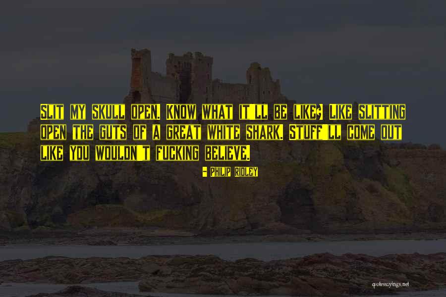 Shark Quotes By Philip Ridley Shark Quotes By Philip Ridley