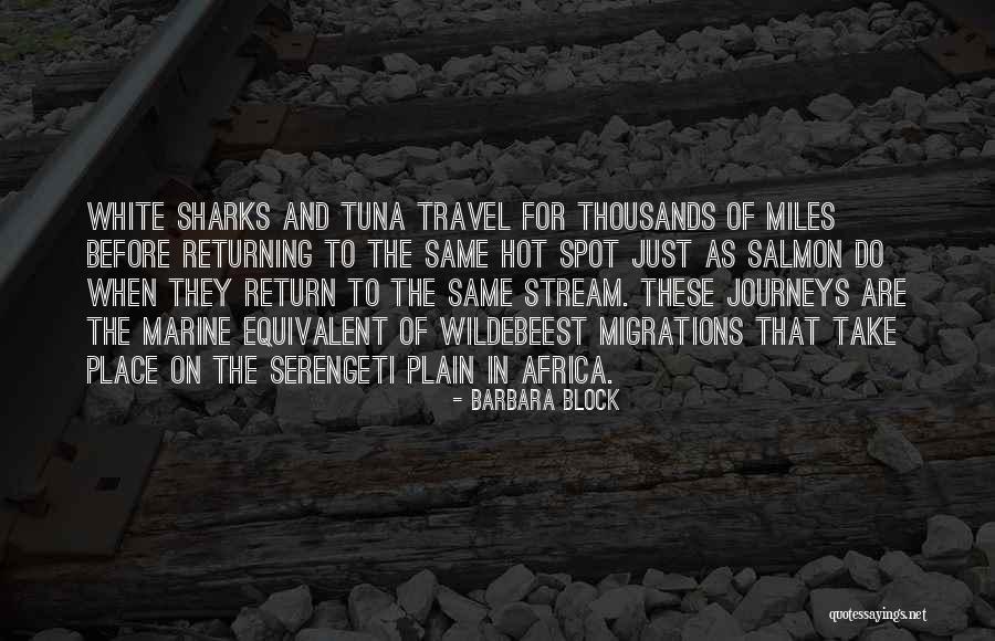 Sharks Quotes By Barbara Block Sharks Quotes By Barbara Block