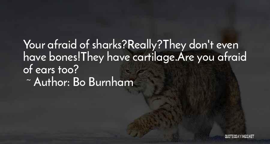 Sharks Quotes By Bo Burnham