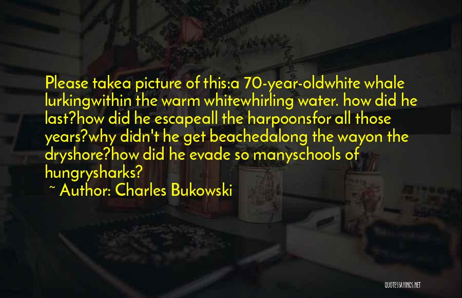 Sharks Quotes By Charles Bukowski