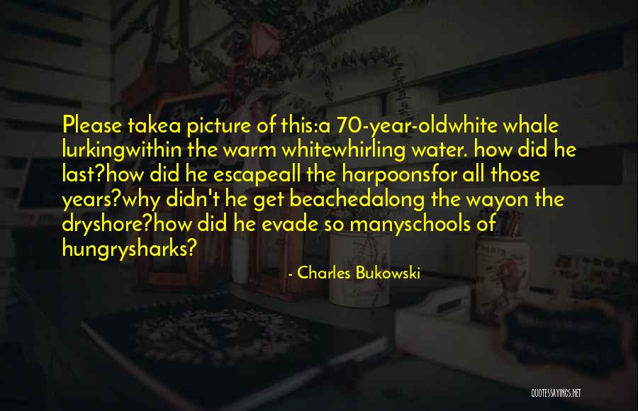 Sharks Quotes By Charles Bukowski