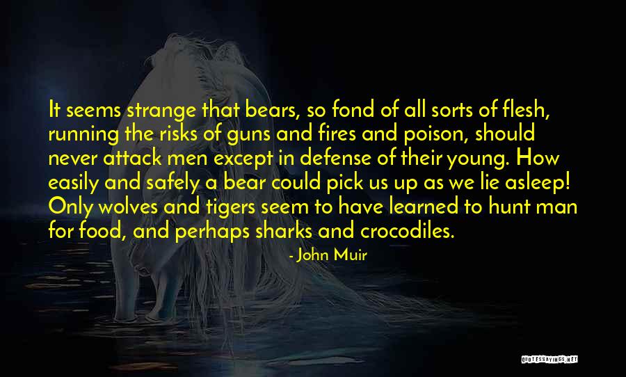 Sharks Quotes By John Muir