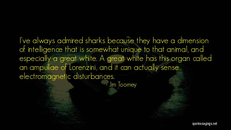 Sharks The Animal Quotes By Jim Toomey Sharks The Animal Quotes By Jim Toomey
