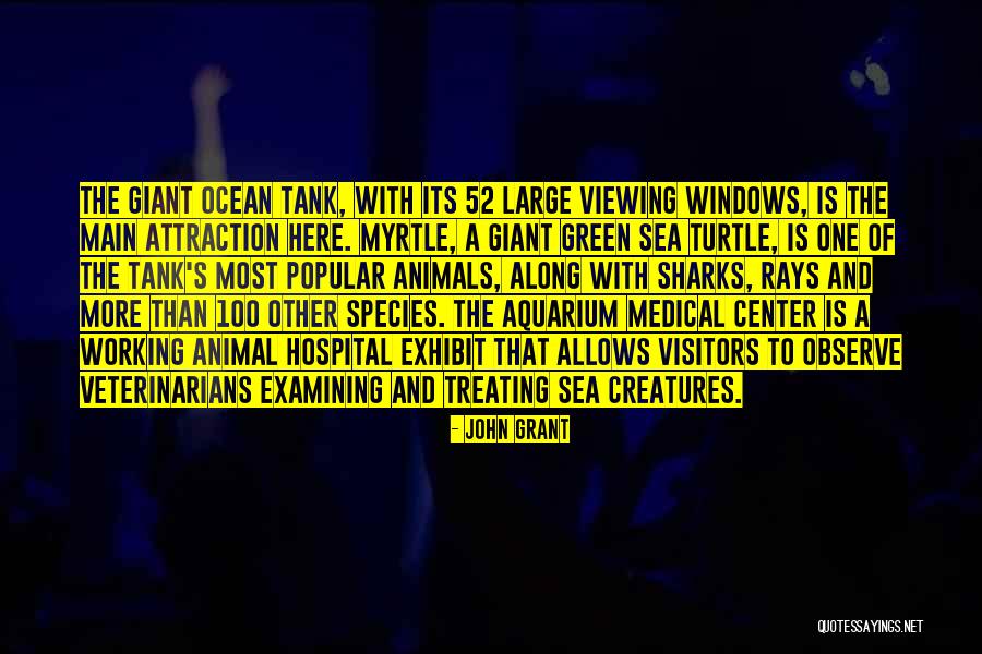 Sharks The Animal Quotes By John Grant Sharks The Animal Quotes By John Grant