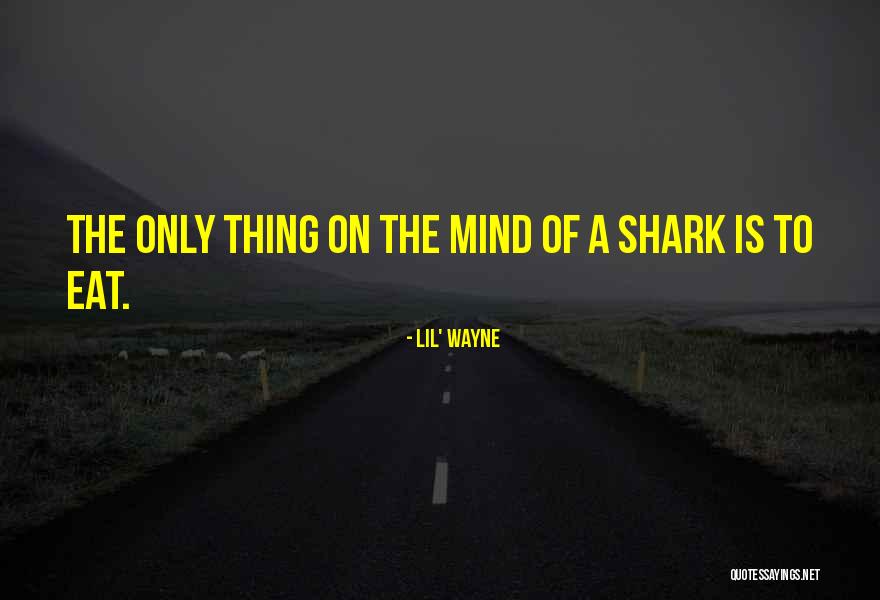 Sharks What Eat Quotes By Lil' Wayne Sharks What Eat Quotes By Lil' Wayne