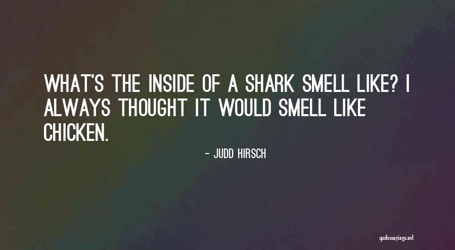 Sharks What Quotes By Judd Hirsch Sharks What Quotes By Judd Hirsch