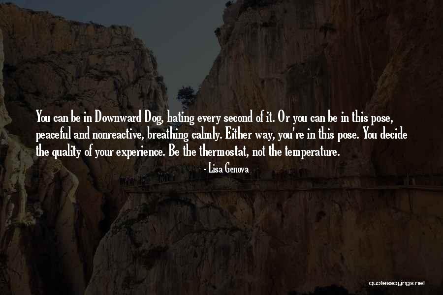 Sharmela Williams Quotes By Lisa Genova Sharmela Williams Quotes By Lisa Genova