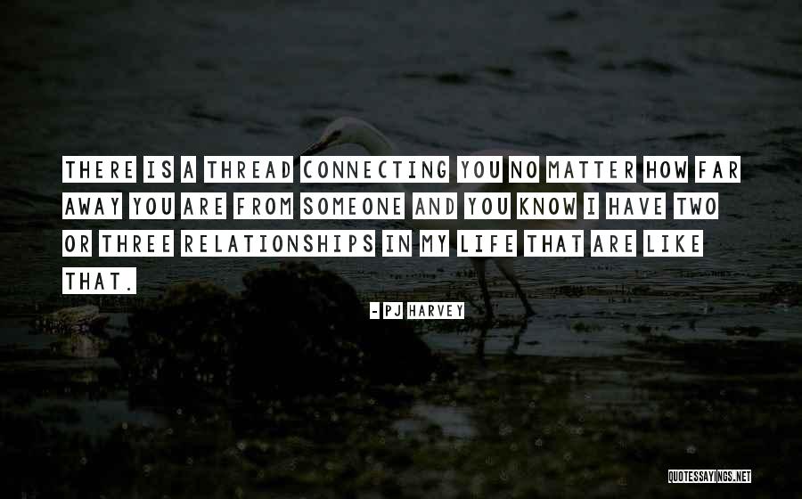 Sharmiel Quotes By PJ Harvey Sharmiel Quotes By PJ Harvey