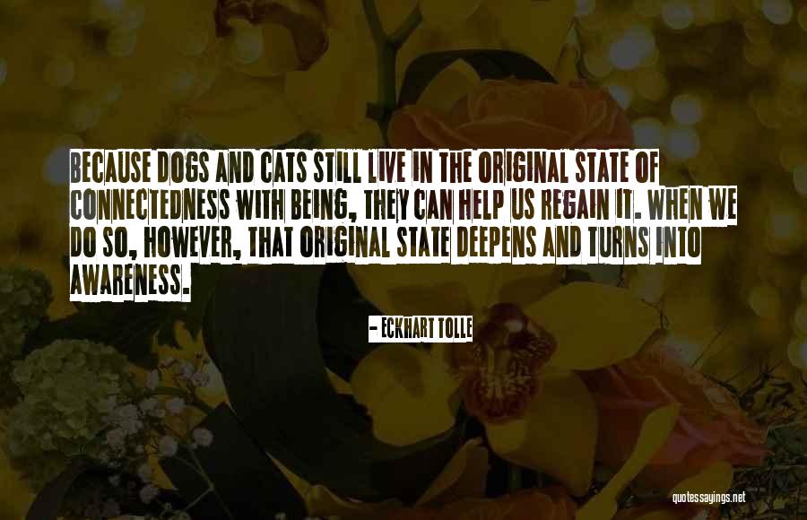 Sharnie Walters Quotes By Eckhart Tolle Sharnie Walters Quotes By Eckhart Tolle