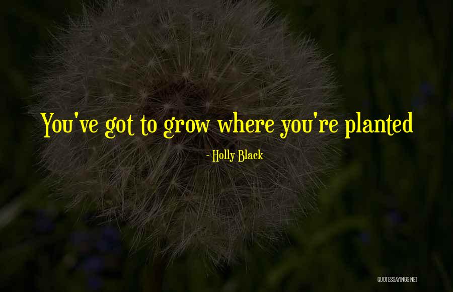 Sharokina Pazand Quotes By Holly Black Sharokina Pazand Quotes By Holly Black
