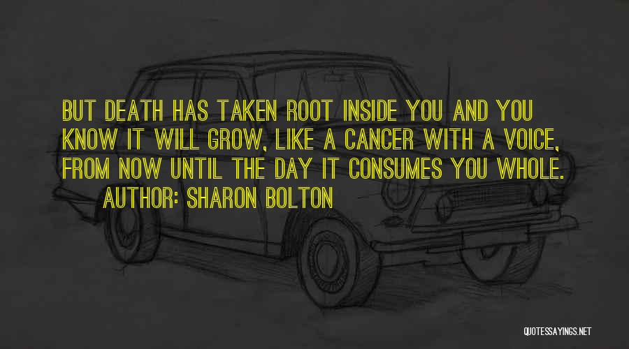 Sharon Bolton Quotes 1129632