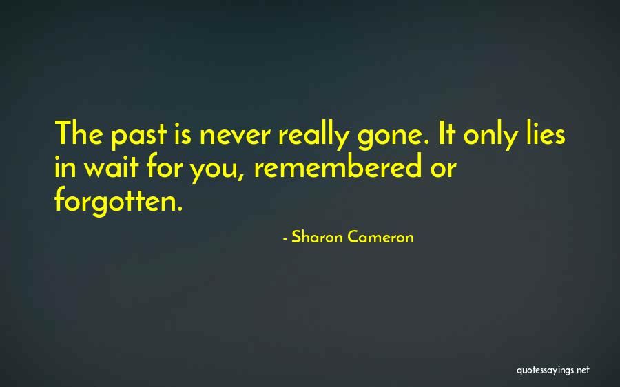 Sharon Cameron Quotes 1211293