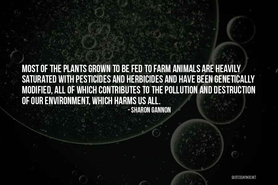 Sharon Gannon Quotes 1157060 Sharon Gannon Quotes 1157060