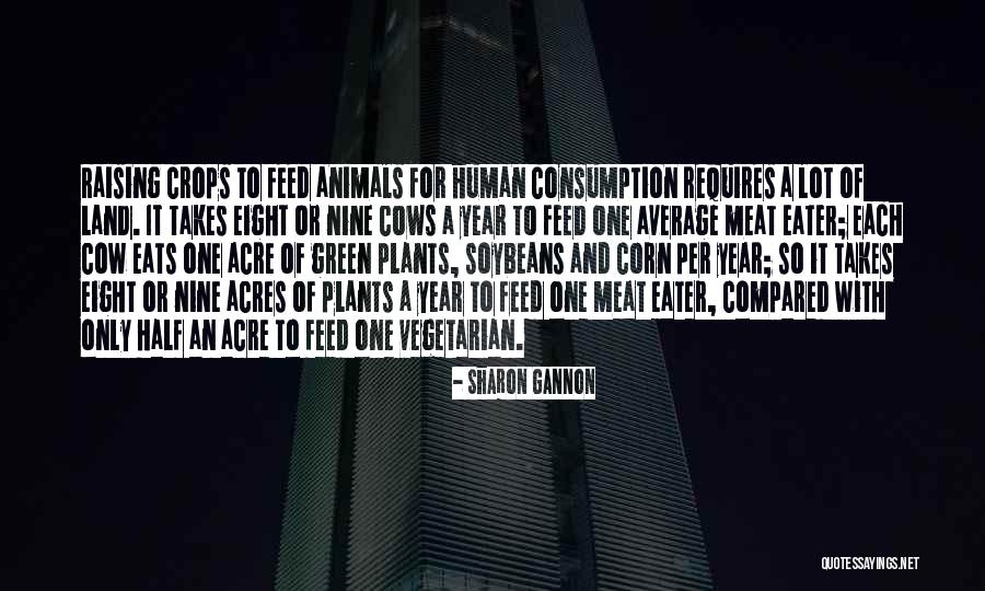 Sharon Gannon Quotes 2116310