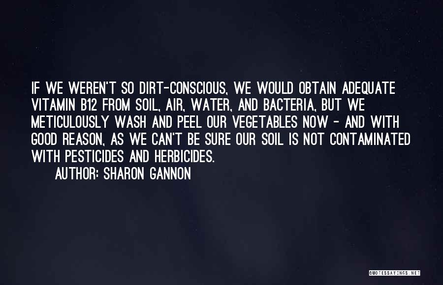 Sharon Gannon Quotes 895530