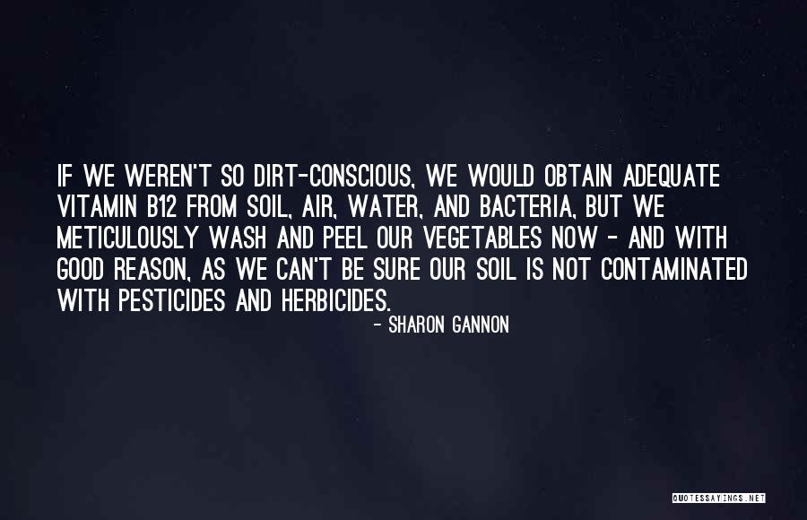 Sharon Gannon Quotes 895530