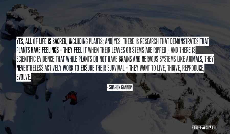 Sharon Gannon Quotes 941804 Sharon Gannon Quotes 941804