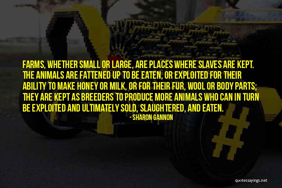 Sharon Gannon Quotes 955347 Sharon Gannon Quotes 955347
